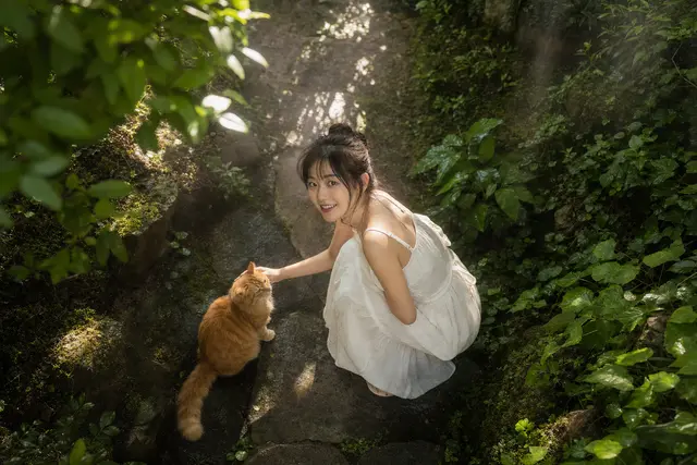 Komorebi Garden Overhead Portrait